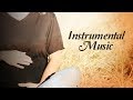 Instrumental Music Garbh Sanskar Dr Shri Balaji Tambe Times Music Spiritual
