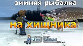 Рыбалка на зимнего хищника