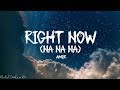 Aamir - Right Now (Na Na Na) - Lyrics (Akon)