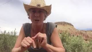 Live from Ghost Ranch