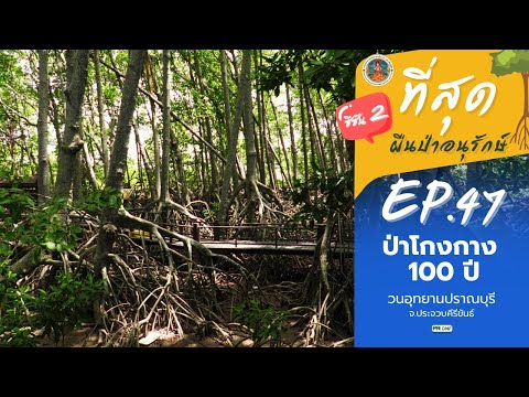 วนอุทยานปราณบุรี