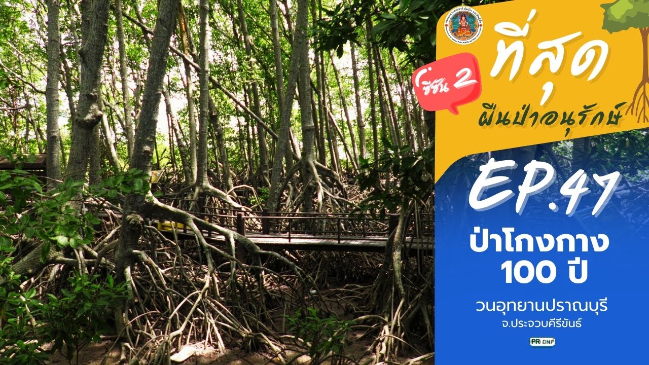 วนอุทยานปราณบุรี