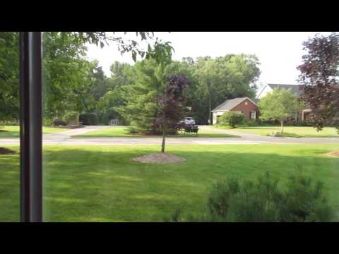 ICE CREAM RAZ  7/7/14 - Day 1,307