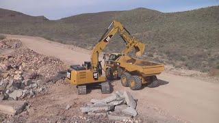 Cat Thumbs | Pro Series Thumbs