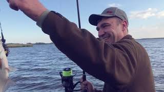 Торговая марка трофей рыбалка