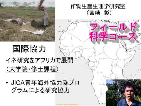 【フィールド科学コース】教員紹介（作物生産生理学・宮崎先生）