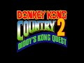 Swanky S Swing Donkey Kong Country 2