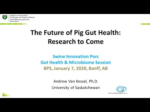 The Future of Pig Gut Health: Research to Come | Andrew Van Kessel