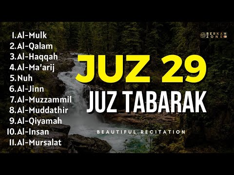 Murottal Merdu Juz 29 | Alaa Aqel علاء عقل