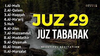 Download lagu Murottal Merdu Juz 29 | Alaa Aqel علاء عقل mp3