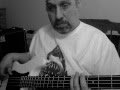 Bass Cover of Papa was a Rolling Stone Rear ...