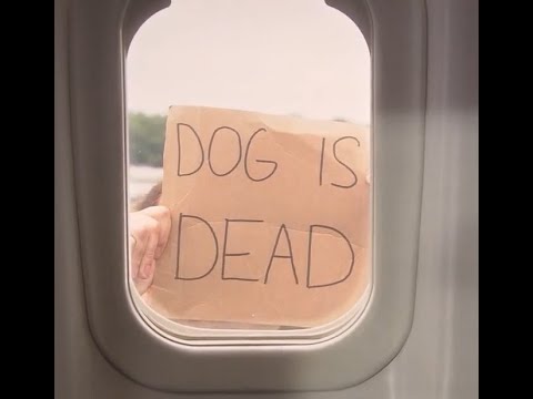 Gargantuan Baguettes - Magmorax - MW Monk PoV