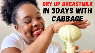 HOW TO DRY UP BREASTMILK WITH CABBAGE