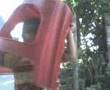 Niño Bailando El Toro