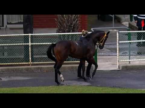 Belmont Park, 21/05/2016 - Race 1 - NEXT GENERATION - Neville Parnham & Steven Parnham