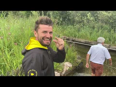 Sightseeing Seidl - Bad Mitterndorf