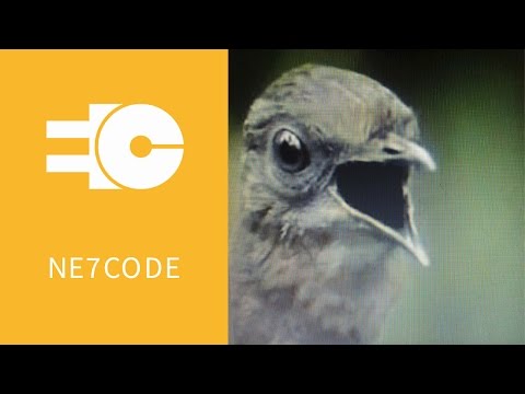 NE7CODE | Lyrebird | Original Mix