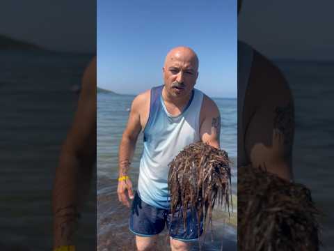 Look at What Comes Out of the Sea #sea #emotional #family #cleaning