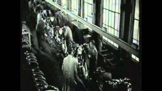 Download lagu BMW R25/3 Factory 1954-1955 mp3