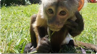 SOLO time ....... o and another birthday