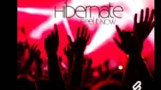 Hibernate &#39;Feel It Now&#39;