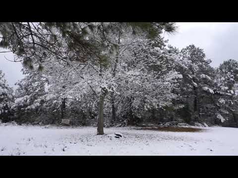 Snow In Louisiana