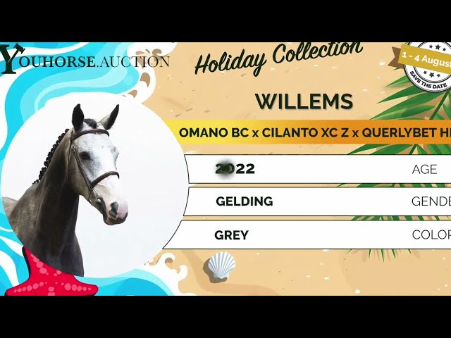 Willems homevideo