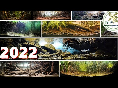 Biotope aquariums, 50 arrangements, cinematic.
