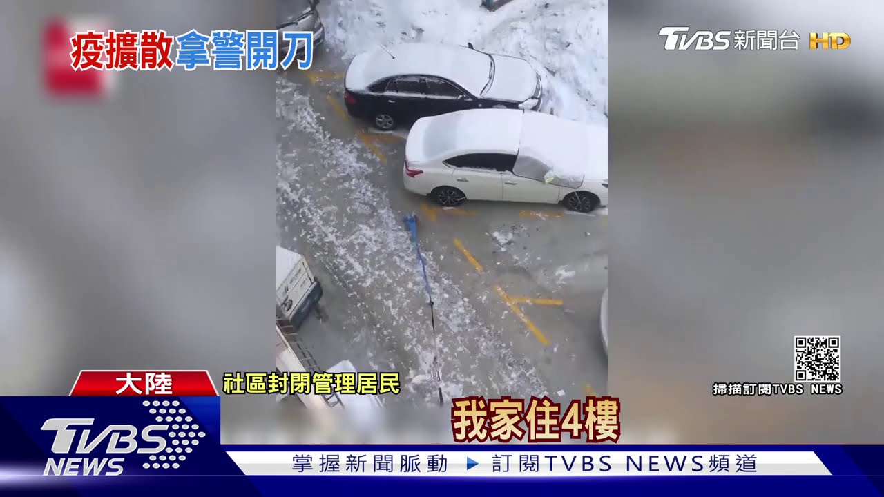 陸社區封閉隔離人出不去 飼主竟隔空遛狗