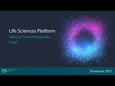 Safety in Gene Therapeutics