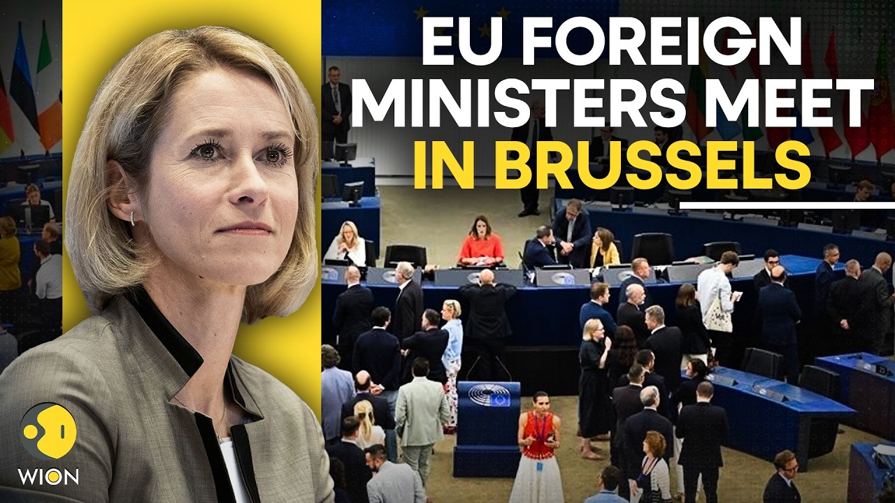 LIVE: EU Ministers Meet In Brussels As Ukraine War Dominates Agenda | WION