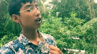 preview picture of video 'Gopalgonj city! Travel vlogs |vlog 3|shourov vlogs'