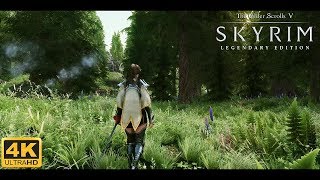 Skyrim LE Ultra Modded 4K : Best Graphics !! w/Modlist !!