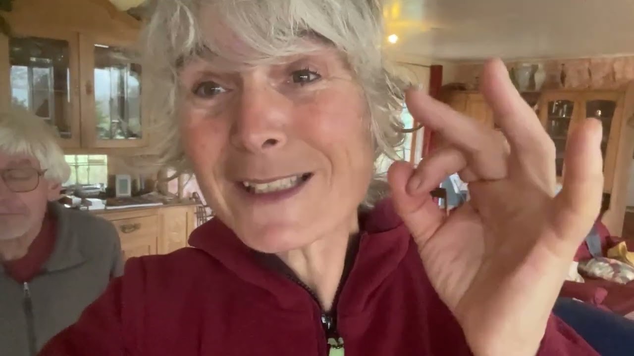 Maßgefertigte Hundebox: Platz, Ruhe und Handwerkskunst