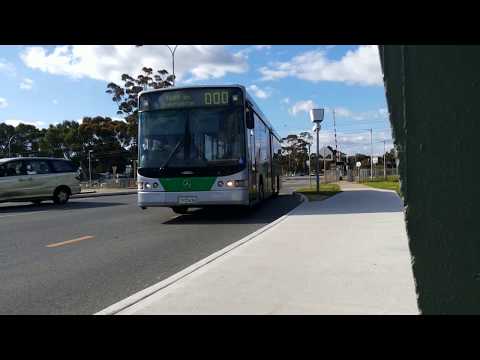Transperth Mercedes-Benz OC500LE (Volgren CR228L) TP1436 Arrives @ Maddington Station (Stop 13464)