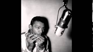 Little Walter blues - Walter´s Jump