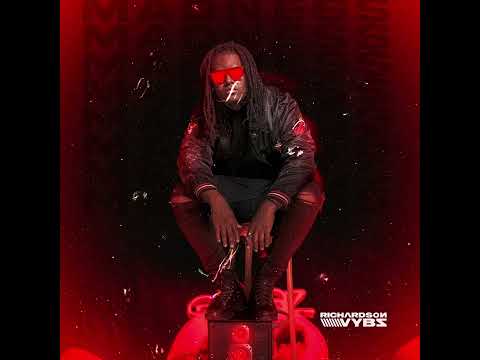 Richardson VYBZ -  MADNESS (Original Mix)