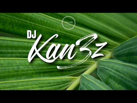 Barth X DJ KAN3Z - INFINI [REMIX ZOUK 2023]