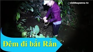 preview picture of video 'Đêm đi bắt rắn'