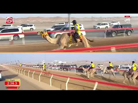  ش 9 (الواضح) لـ مايد جمال راشد المسافري 3:01:95 , ختامي العين 2026/10/03 السباق التراثي الروضة