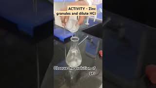 Activity - Reaction of Zinc granules with dilute HCl #class10science #zinc #scienceactivity