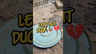 Download lagu Mengapa Bebek Ini Makan Sendirian? 🦆 mp3