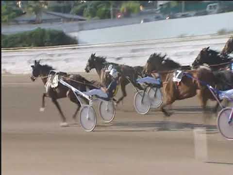 Trotto 16/09/2018 - 6ª corsa