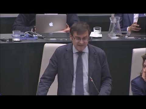 González: «El debate sobre la ZPAE en un Pleno Extraordinario es electoralista y extemporánea»