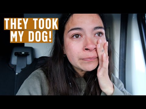 Our worst travel moment  | Campervan Road Trip Netherlands to Norway Ep 4