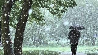 The Next Voice You Hear--Lloyd Snow