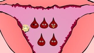 Funny menstruation animation (menstrual cycle)