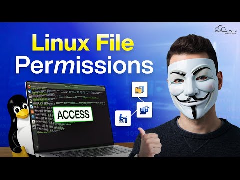 Intro to Shell Programming Easy Tutorial for Absolute Beginners