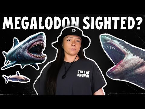 JUNKSPIRACIES: Megalodon is (NOT) still alive | Lindsay Nikole