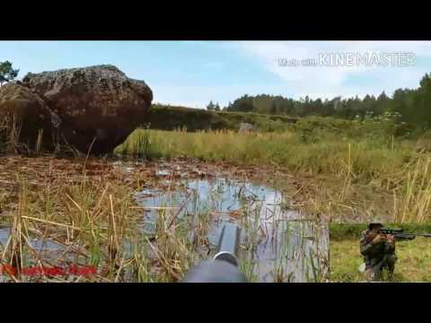 Berburu terkukur part 3 menggunakan senapan angin